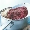 Киноа Киноа